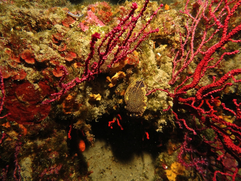 DSC04828